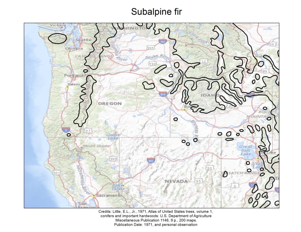 Subalpine Fir – High Desert Natural History